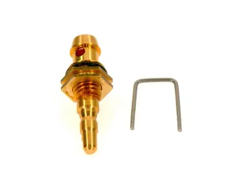 BOSCH Wählerschraube in Goldfarbe mit einer Verbindungsstelle und einem beiliegenden kleinen Werkzeug aus Metall.